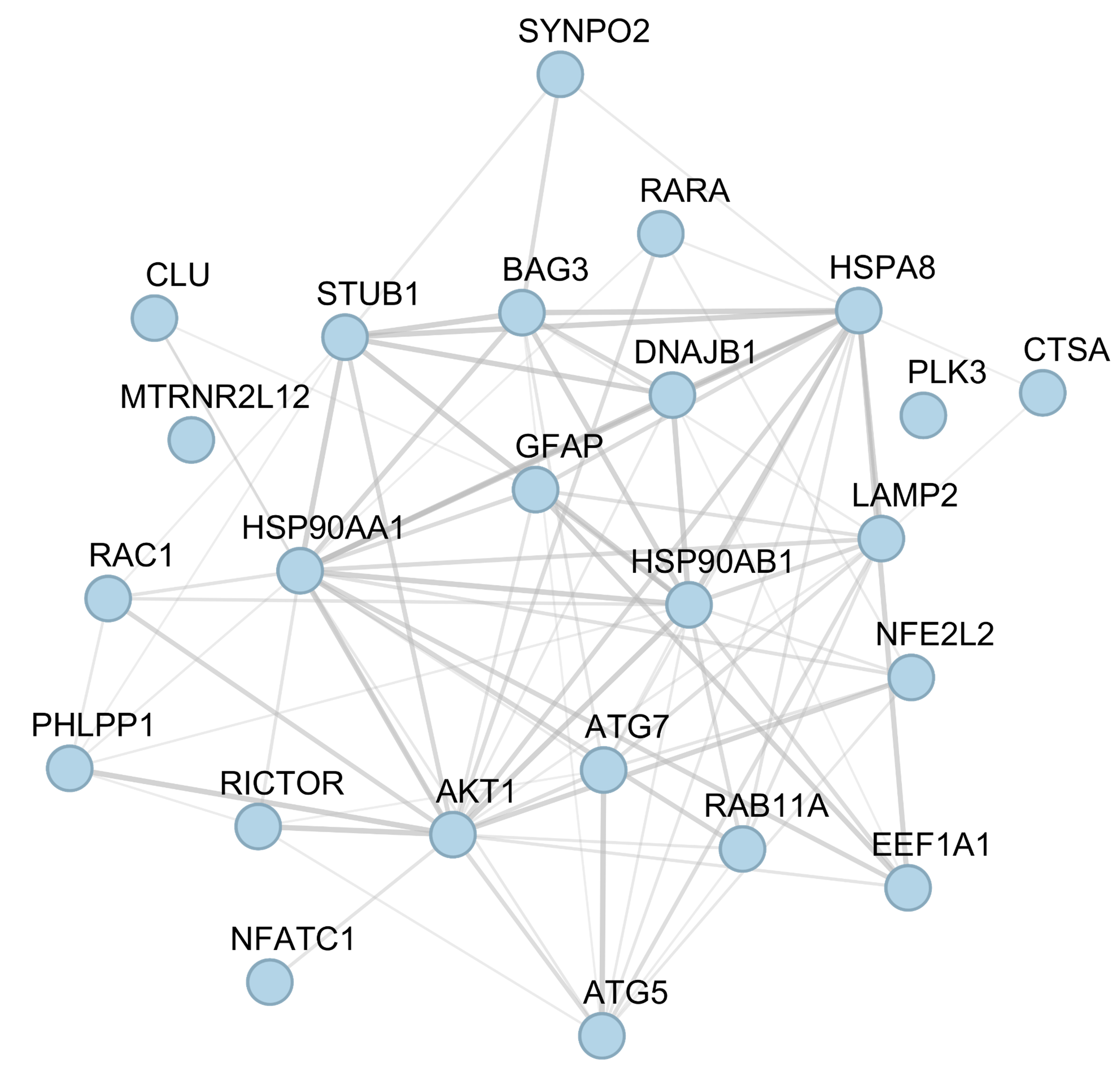 Gene Network