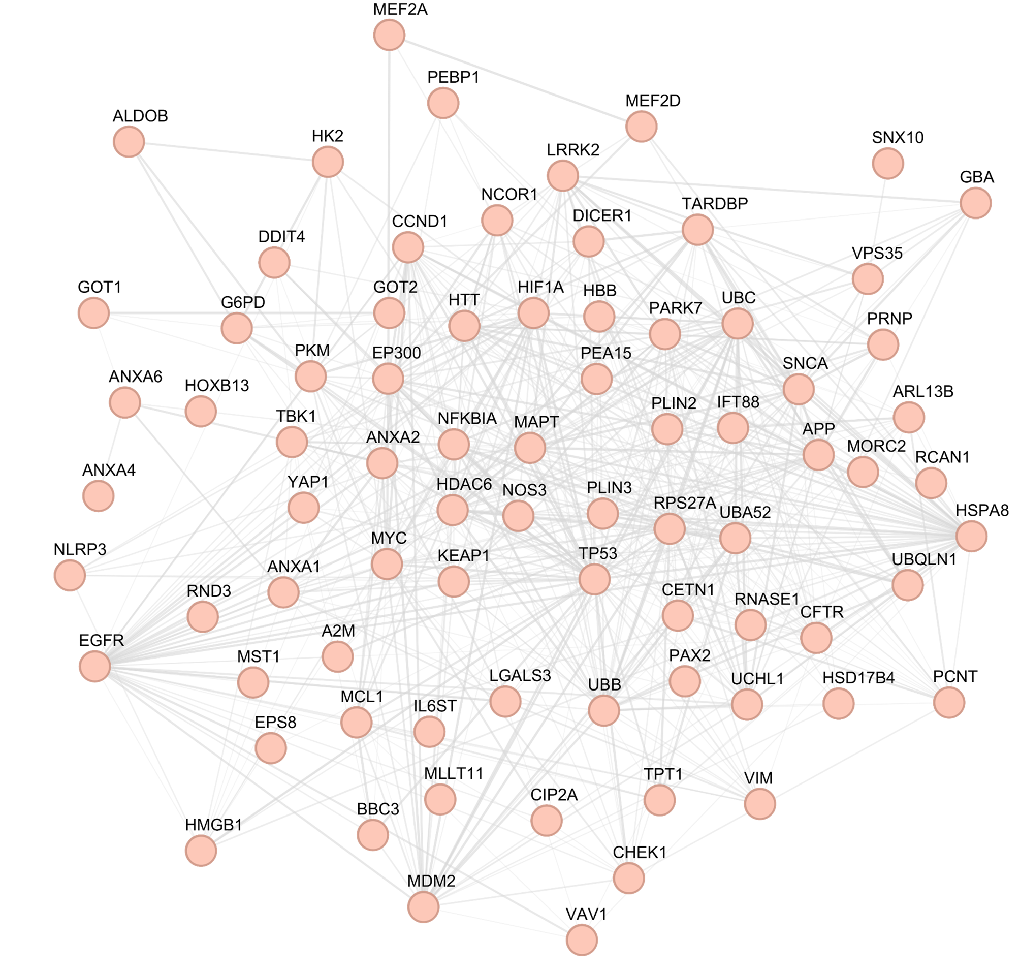 Substrate Network